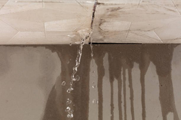 Professional Structural Drying technician working in Waldron, MI